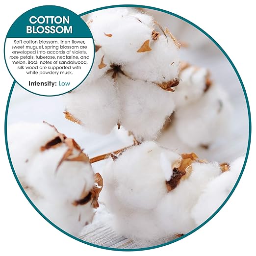 Fresh Products myfresh 2.0 Personal Air Freshener with Dry Fragrance Technology for Small Spaces Compact Design Motion Sensor Battery Included Cotton Blossom 6 pk
