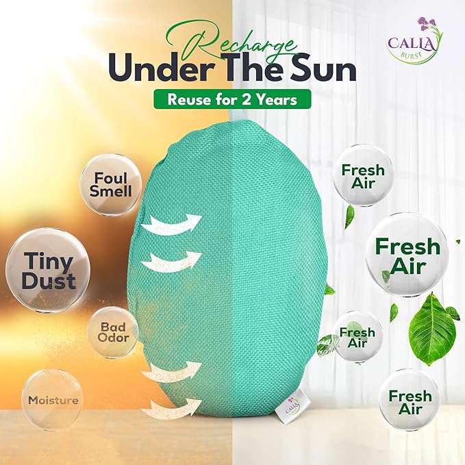 4 Pack Bamboo Charcoal Air Purifier Bags 200 Grams Each - Odor Absorber for Home, Car, Pets, Activated Charcoal Natural Freshener, Eco-Friendly & Reusable (Oval Shape)